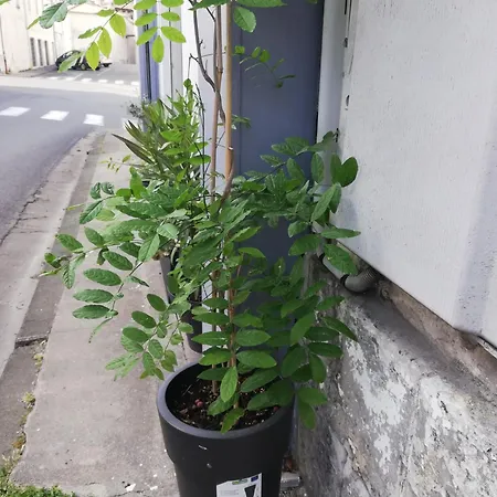 O Bon Cru, Meuble De Tourisme * Archiac